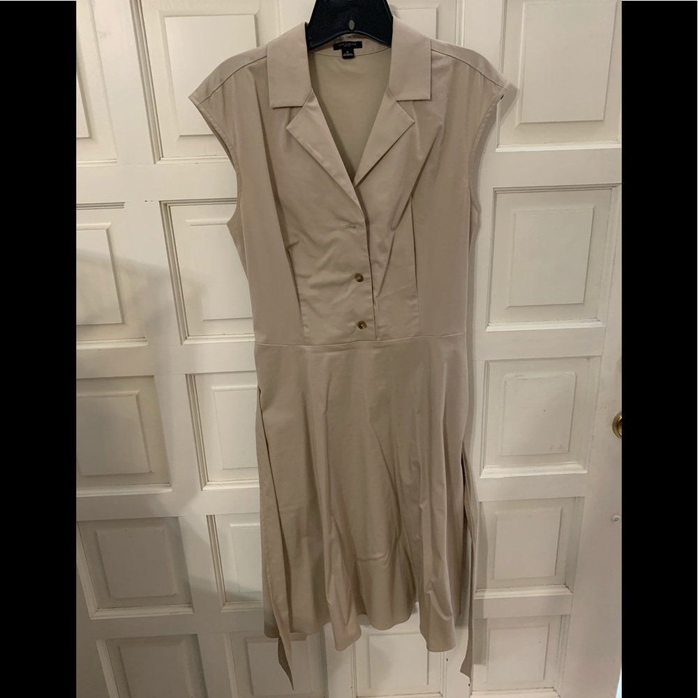 Ann Taylor Khaki Dress